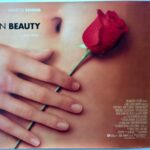 American Beauty | 1999 | UK Quad